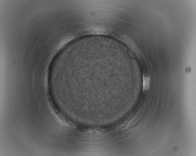 X0000096680627200802261517