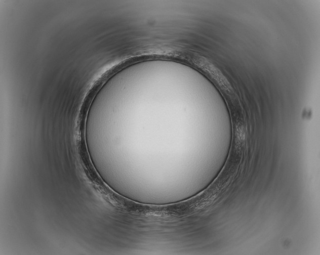 X0000096680628200802261517