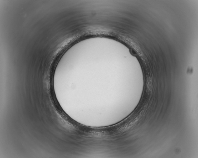 X0000096680629200802261517