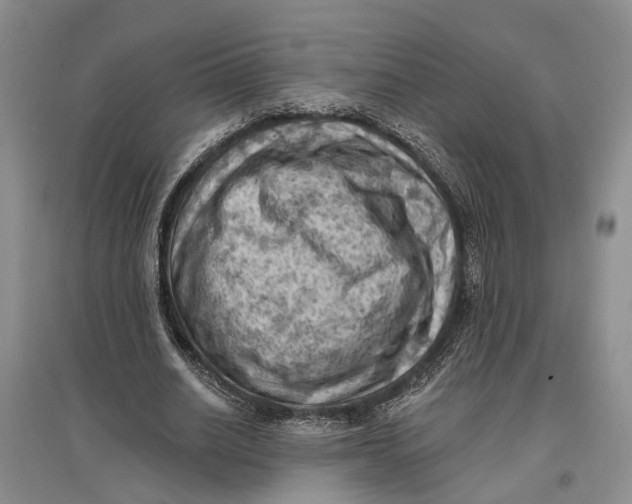 X0000096680630200802261517