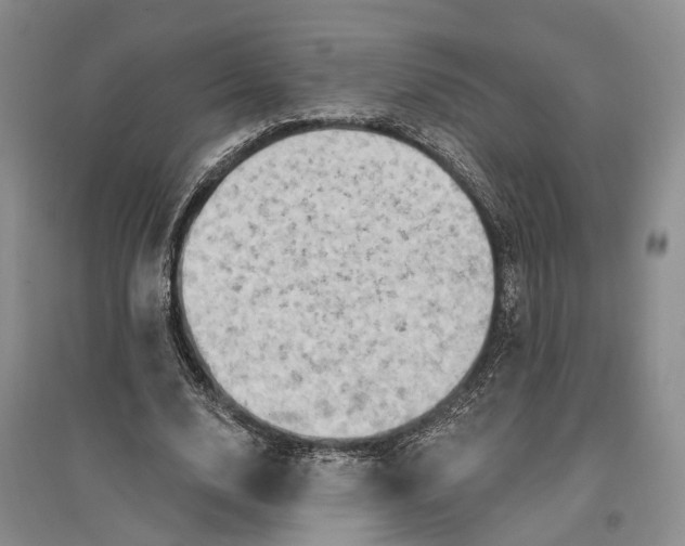 X0000096680632200802261517