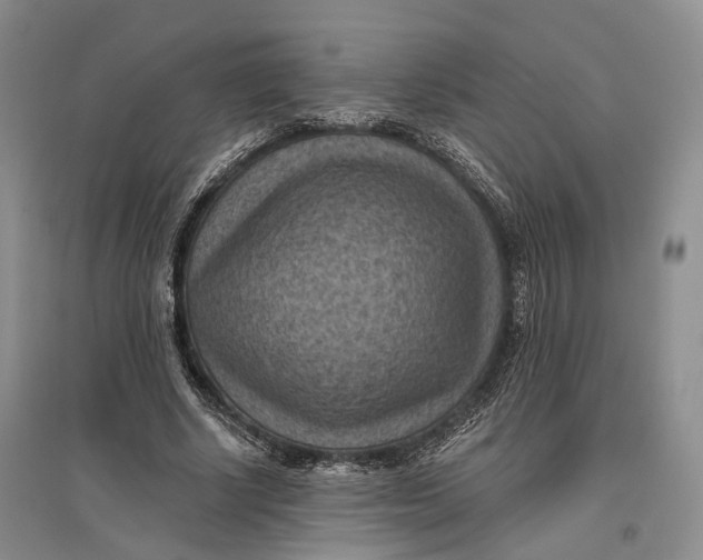 X0000096680634200802261517