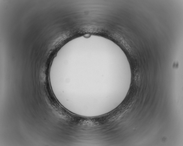 X0000096680635200802261517