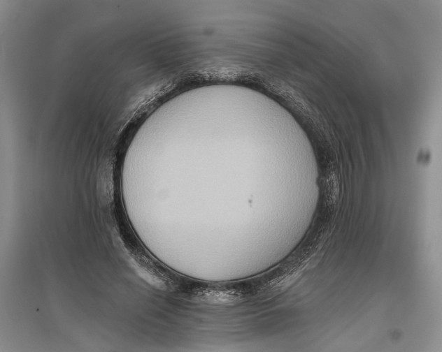 X0000096680638200802261517