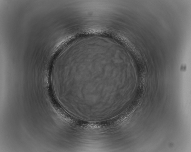 X0000096680640200802261517