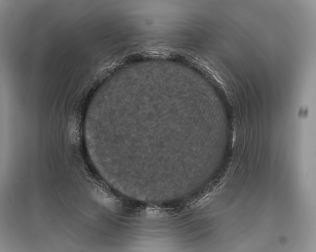 X0000096680641200802261517