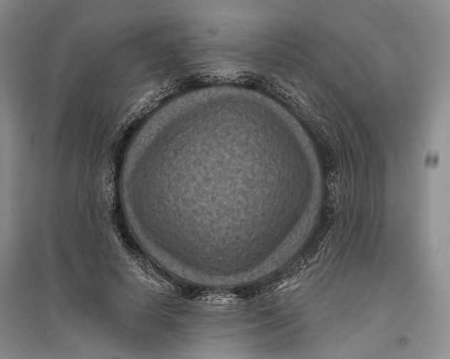 X0000096680642200802261517