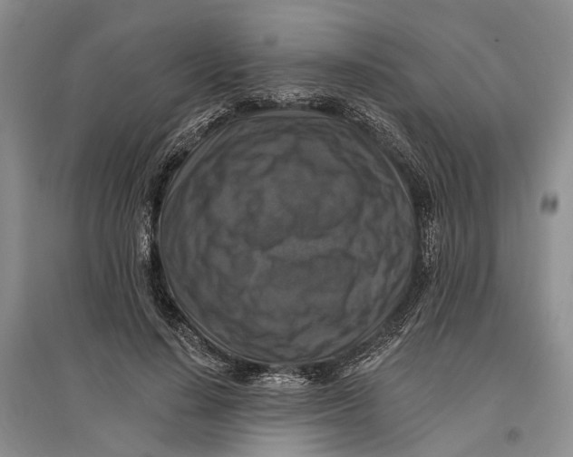 X0000096680644200802261517