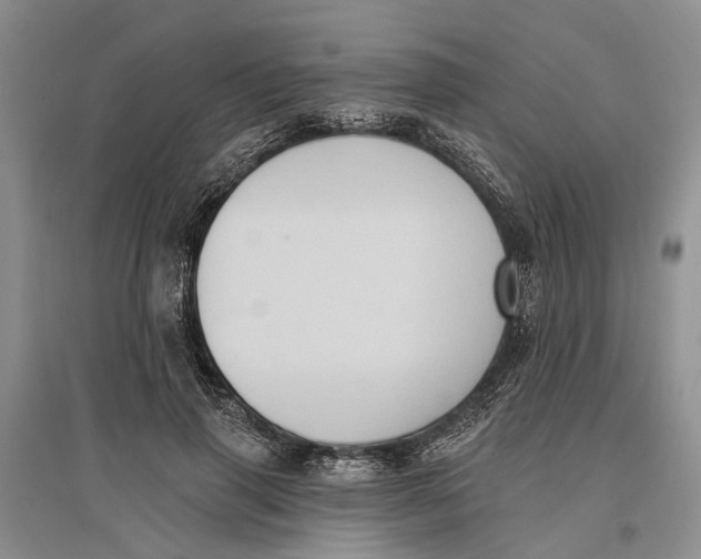 X0000096680645200802261517