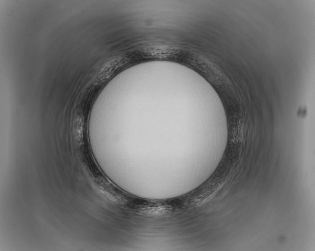 X0000096680646200802261517