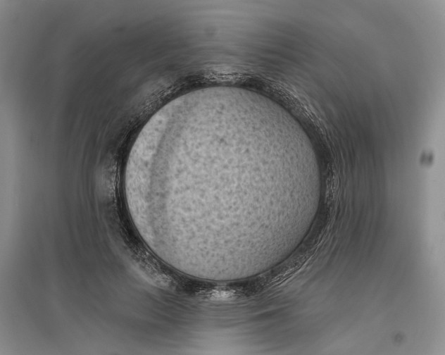 X0000096680647200802261517