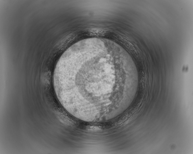 X0000096680649200802261517