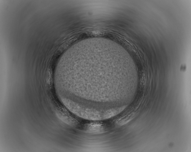 X0000096680651200802261517