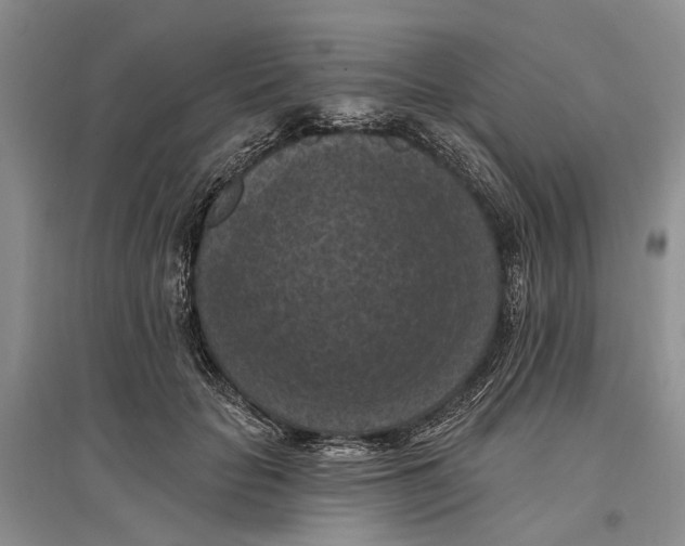 X0000096680653200802261517