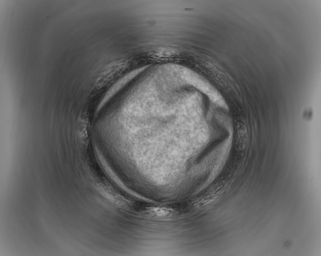 X0000096680654200802261517