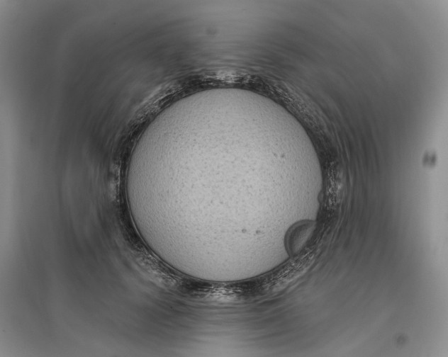 X0000096680656200802261517