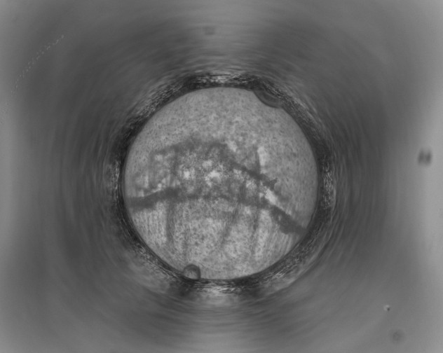 X0000096680657200802261517