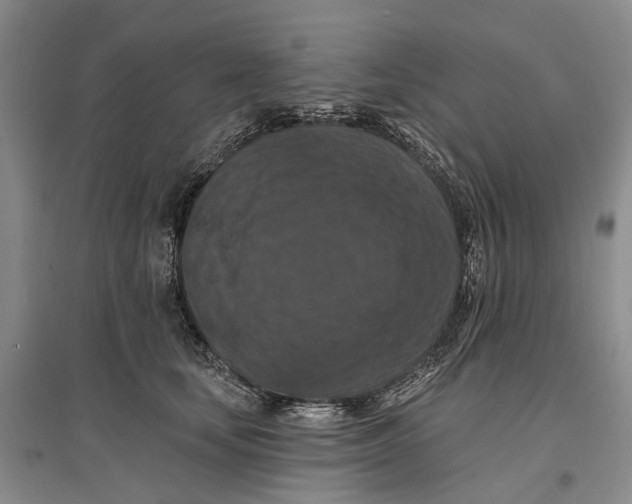 X0000096680659200802261517