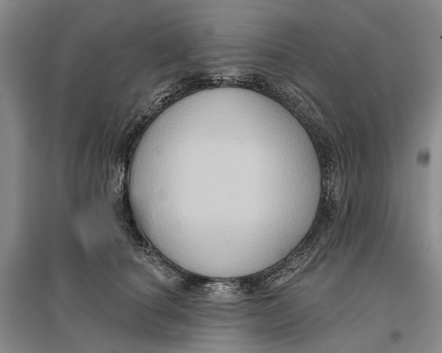 X0000096680660200802261517