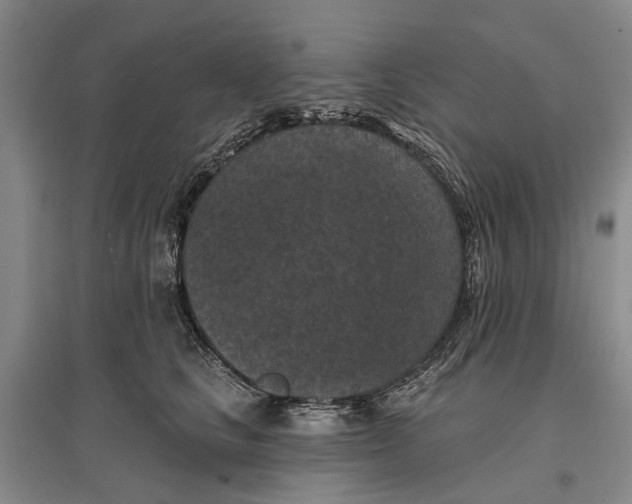 X0000096680661200802261517