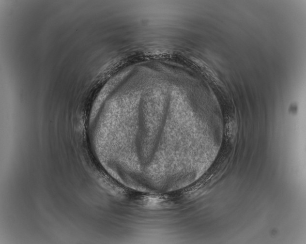 X0000096680662200802261517