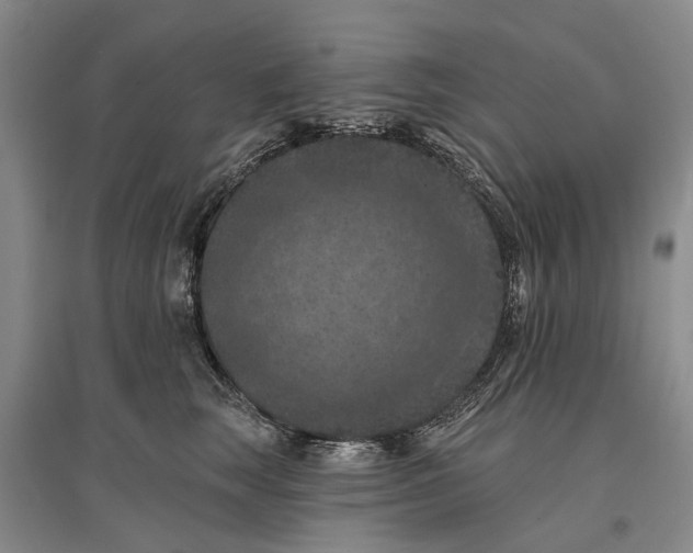 X0000096680663200802261517