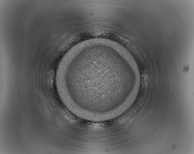 X0000096680664200802261517