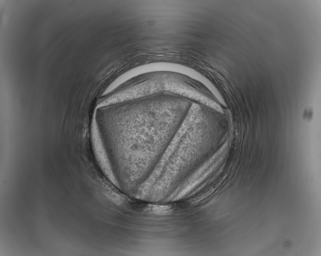 X0000096680665200802261517