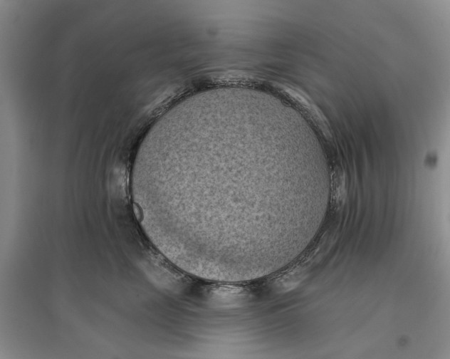 X0000096680669200802261517