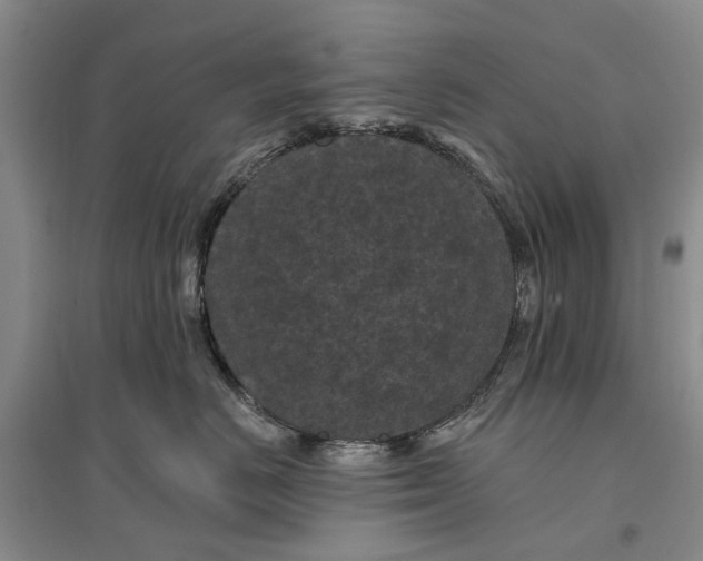 X0000096680670200802261517