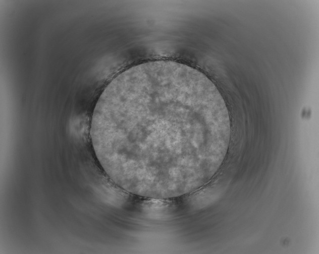 X0000096680672200802261517