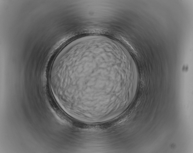 X0000096680674200802261517