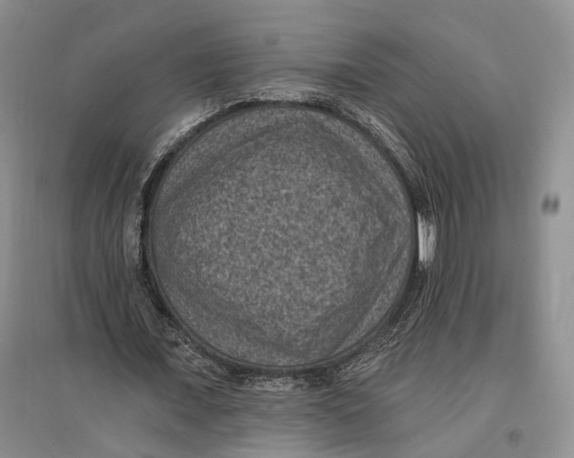 X0000096680675200802261517