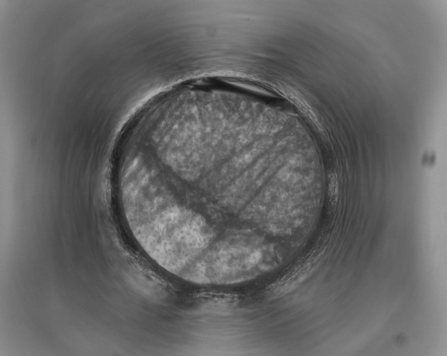 X0000096680676200802261517