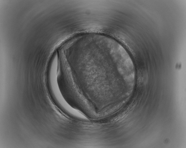 X0000096680677200802261516