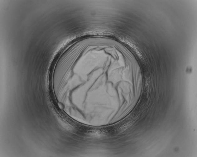 X0000096680678200802261516