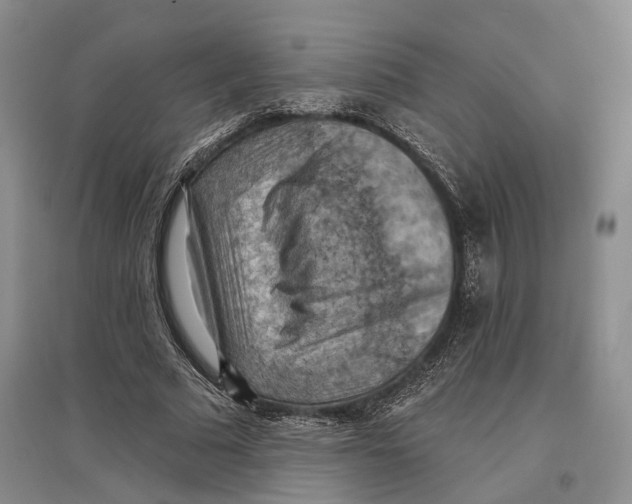 X0000096680681200802261516