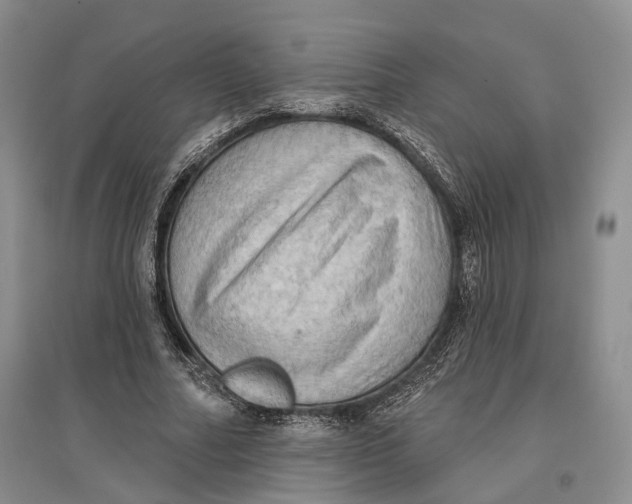 X0000096680682200802261516