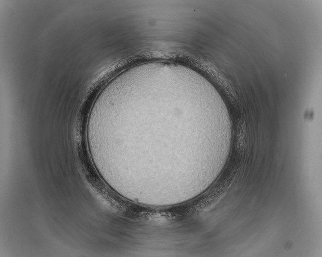 X0000096680683200802261516