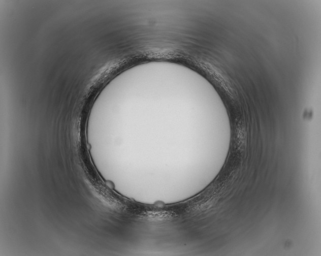 X0000096680686200802261516