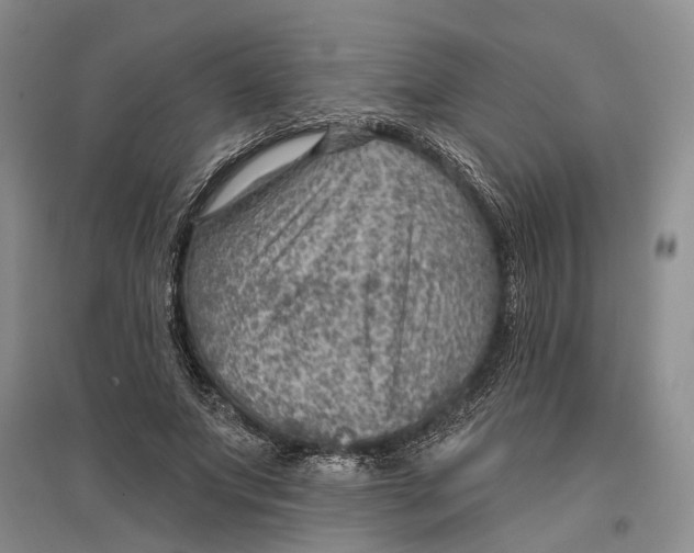 X0000096680687200802261516