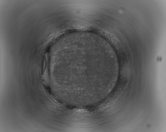 X0000096680689200802261516