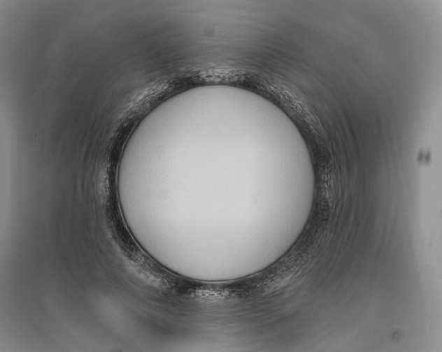 X0000096680690200802261516