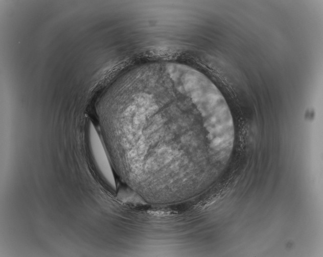 X0000096680693200802261516