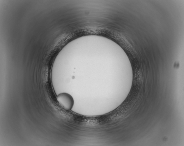 X0000096680694200802261516