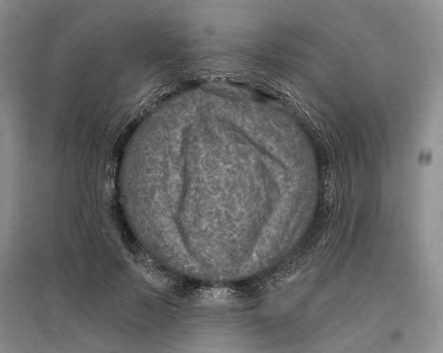 X0000096680695200802261516