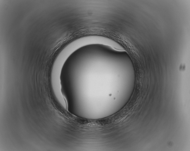 X0000096680696200802261516