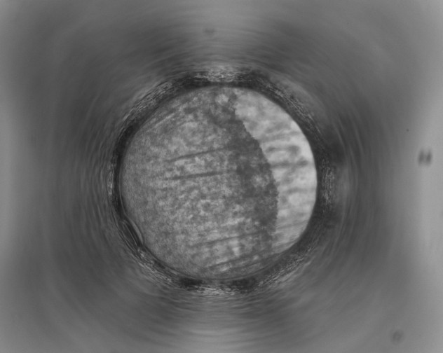 X0000096680697200802261516