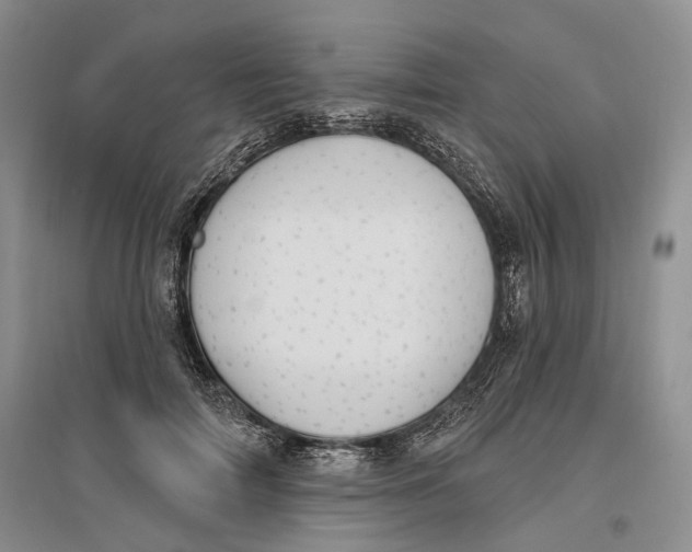 X0000096680698200802261516