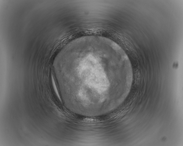 X0000096680699200802261516